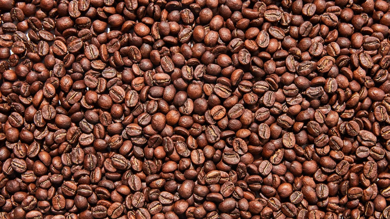is coffee a legume