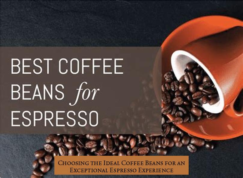 Choosing the Ideal Coffee Beans for an Exceptional Espresso Experience
