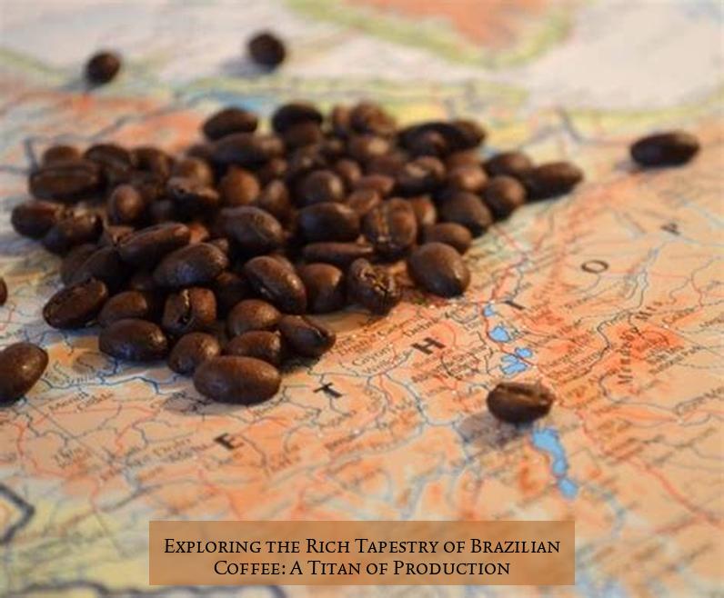 Exploring the Rich Tapestry of Brazilian Coffee: A Titan of Production