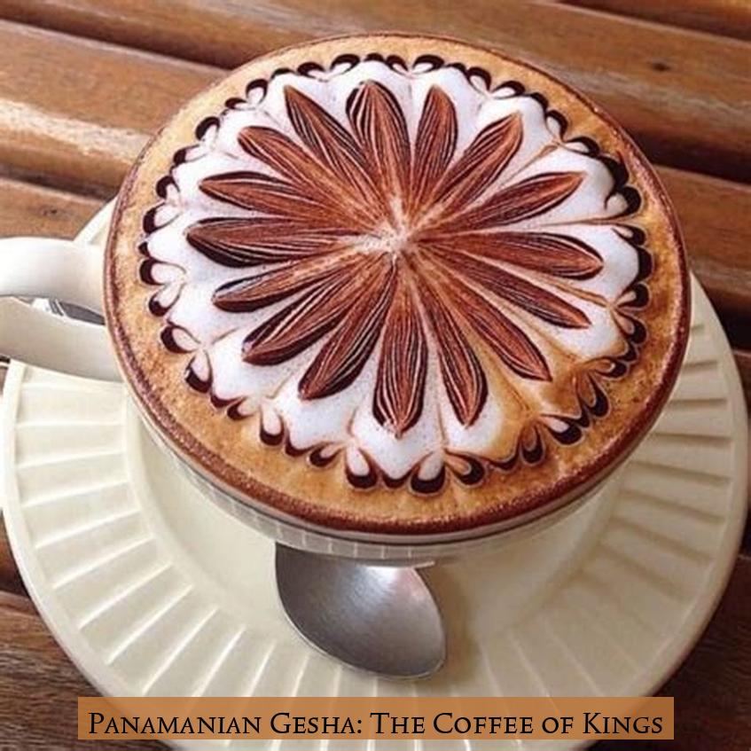 Panamanian Gesha: The Coffee of Kings