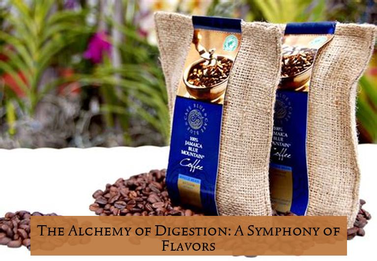 The Alchemy of Digestion: A Symphony of Flavors