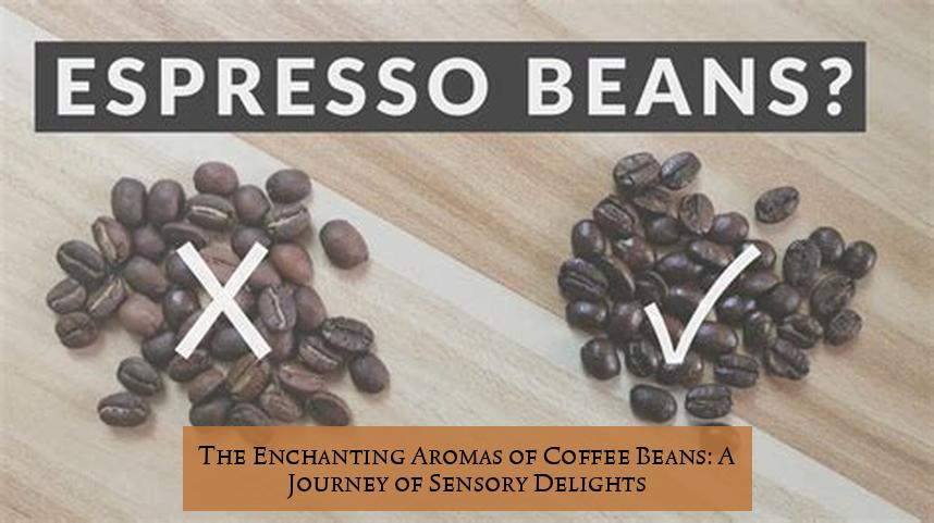 The Enchanting Aromas of Coffee Beans: A Journey of Sensory Delights