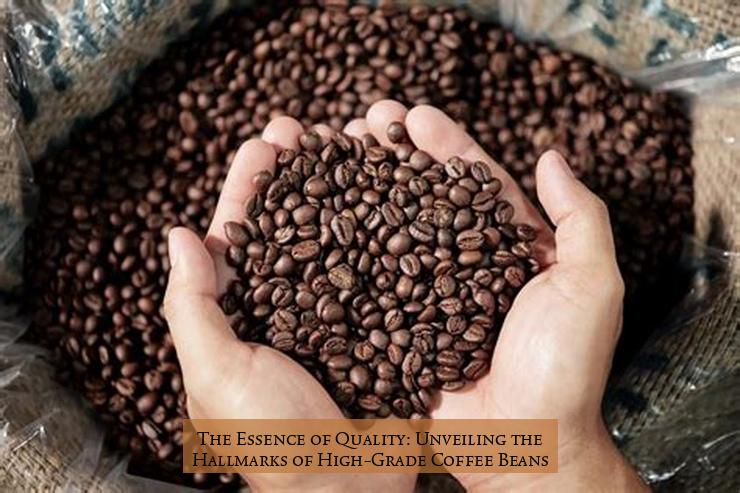The Essence of Quality: Unveiling the Hallmarks of High-Grade Coffee Beans