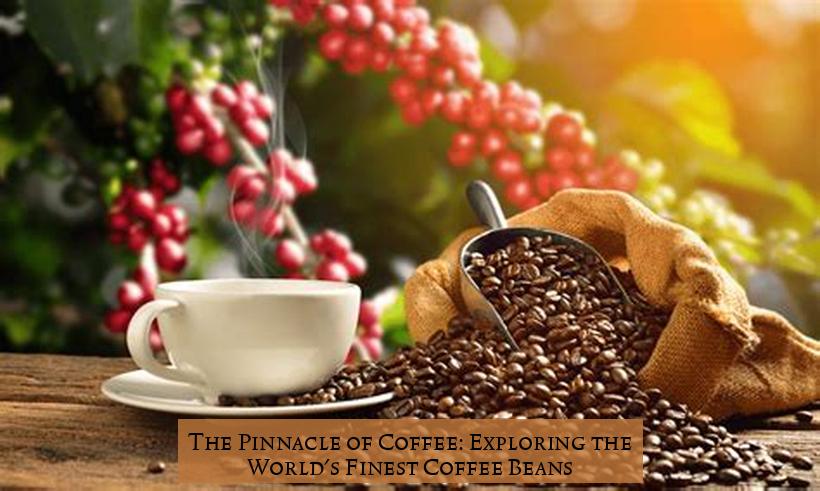 The Pinnacle of Coffee: Exploring the World's Finest Coffee Beans