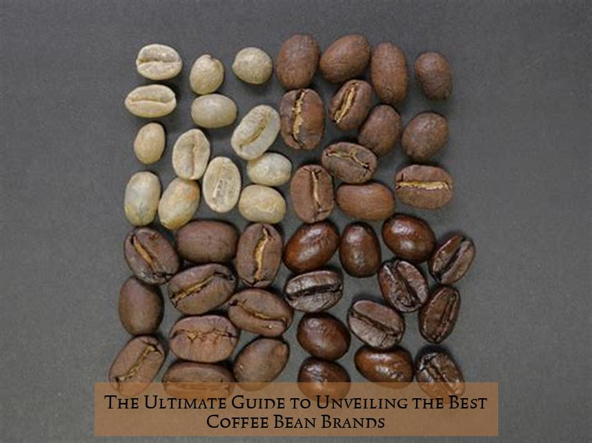 The Ultimate Guide to Unveiling the Best Coffee Bean Brands