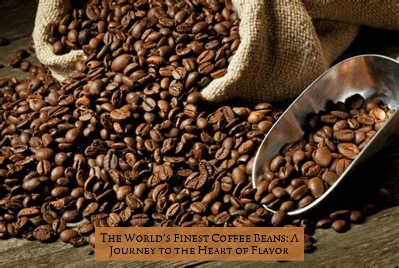 The World's Finest Coffee Beans: A Journey to the Heart of Flavor