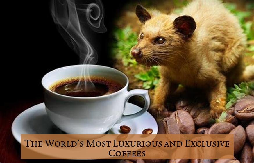 The World's Most Luxurious and Exclusive Coffees