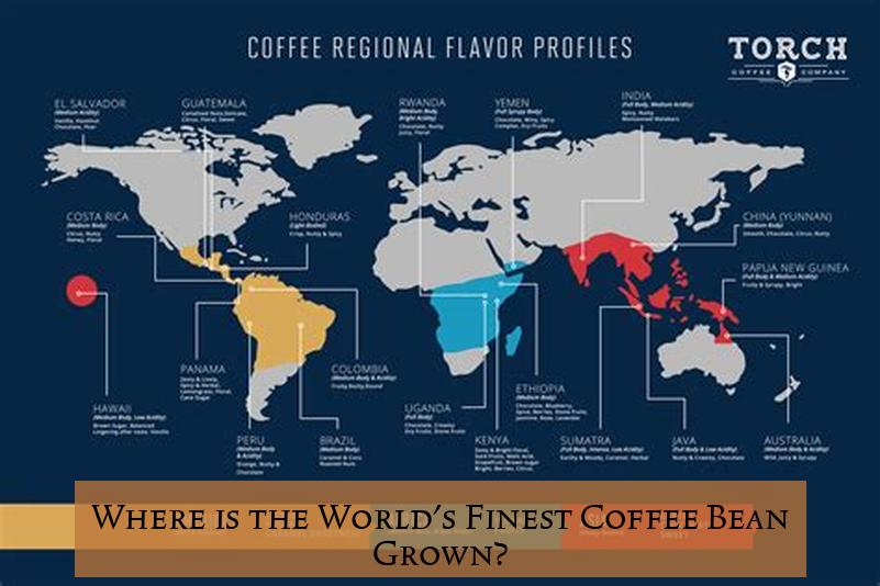 Where is the World's Finest Coffee Bean Grown?